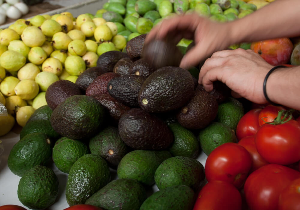 México, séptimo exportador agrícola