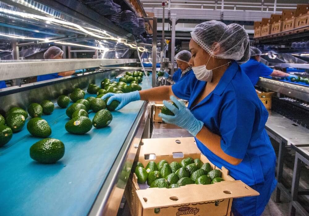 Exportaciones agroalimentarias de México registran el mayor valor