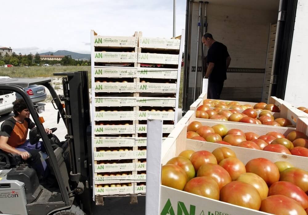 Crece en México un 9% la exportación de alimentos hacia el mundo